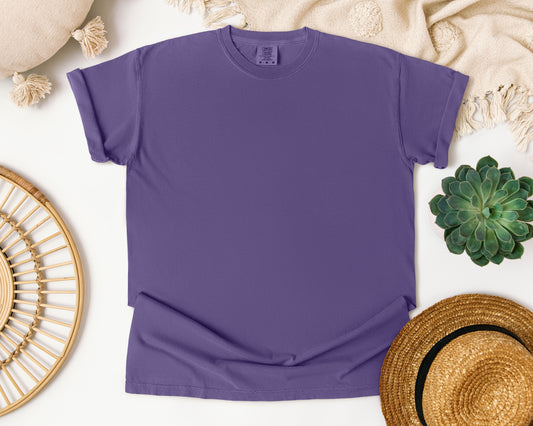 DISCONTINUING COMFORT COLOR T SHIRTS