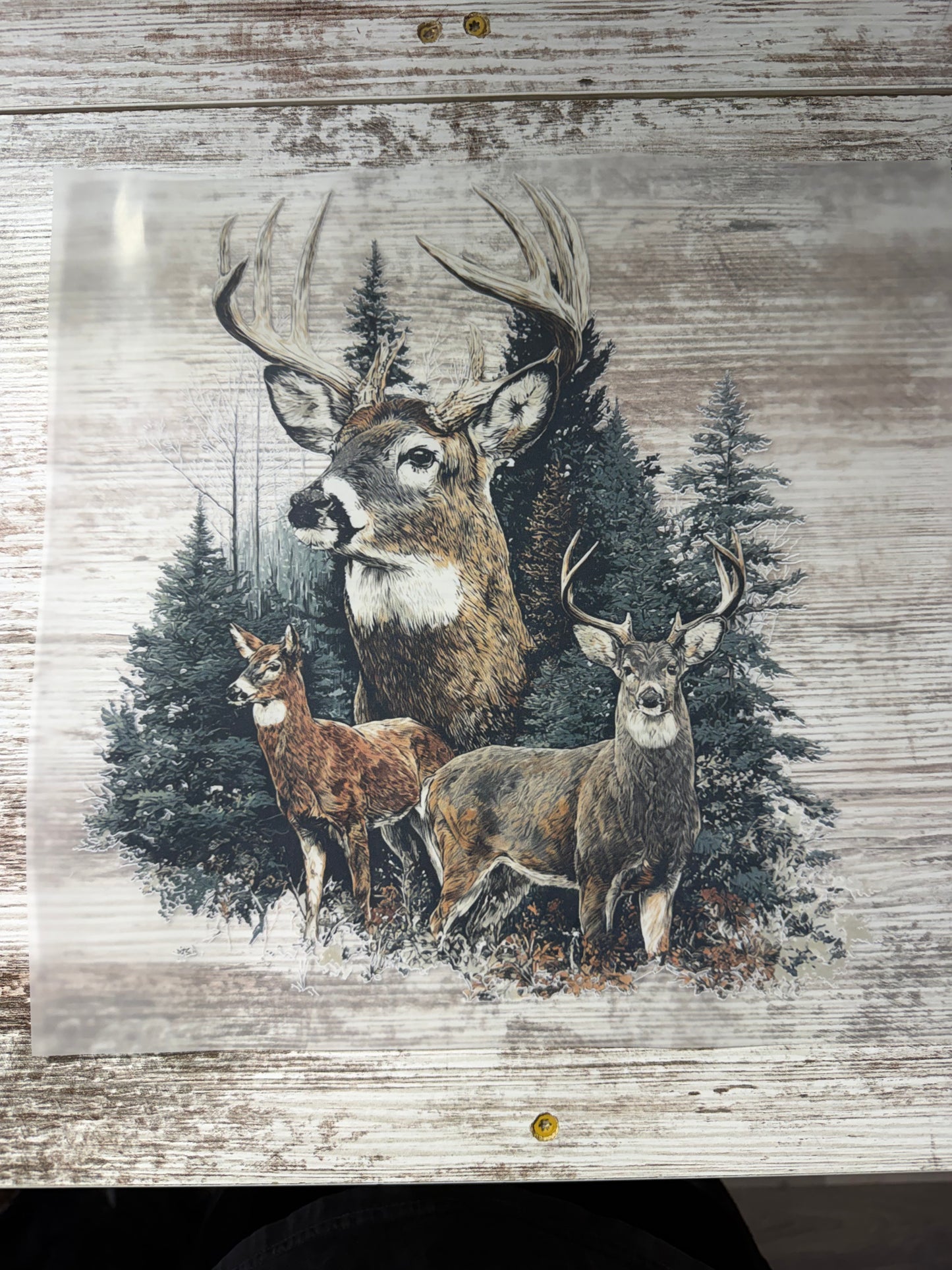 RETIRED DTF PRINTS