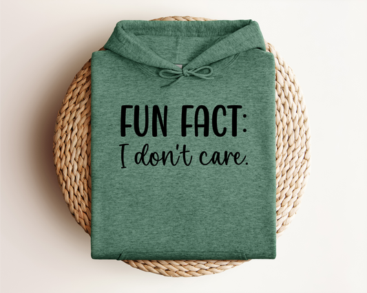 FUN FACT: I DON'T CARE HOODIE