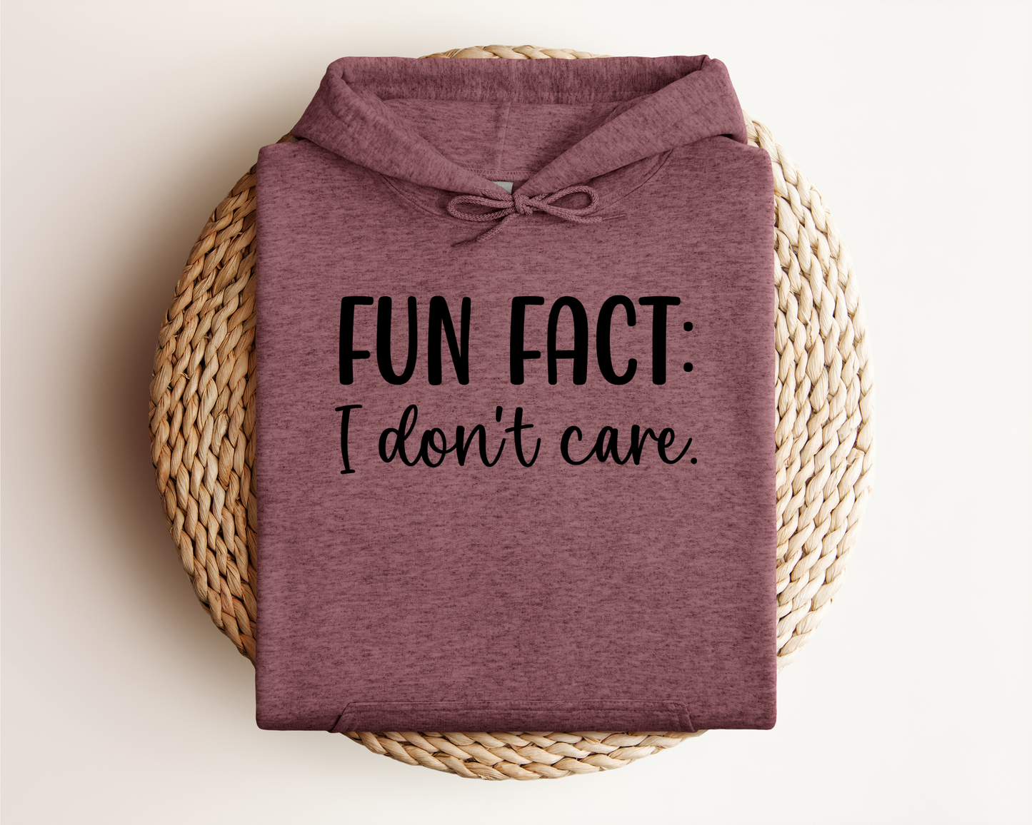 FUN FACT: I DON'T CARE HOODIE