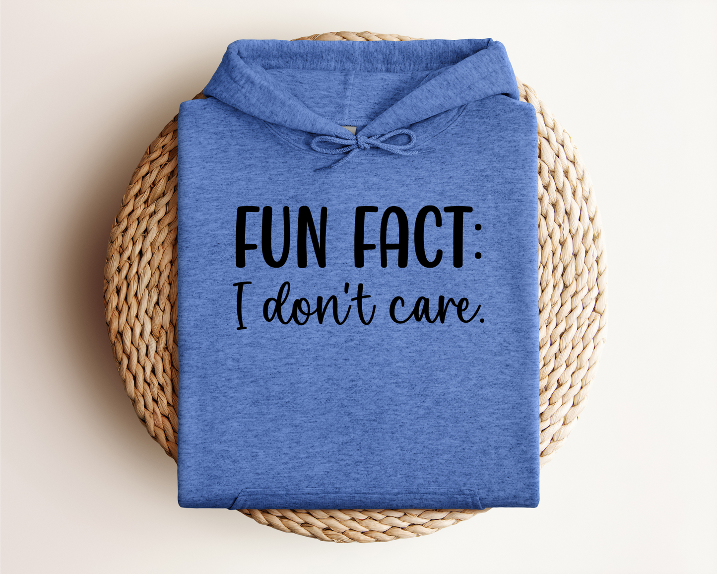 FUN FACT: I DON'T CARE HOODIE