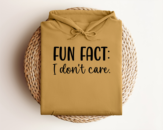 FUN FACT: I DON'T CARE HOODIE