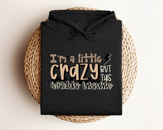I'M A LITTLE CRAZY BUT THIS WORLDS INSANE HOODIE