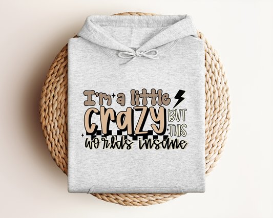 I'M A LITTLE CRAZY BUT THIS WORLDS INSANE HOODIE