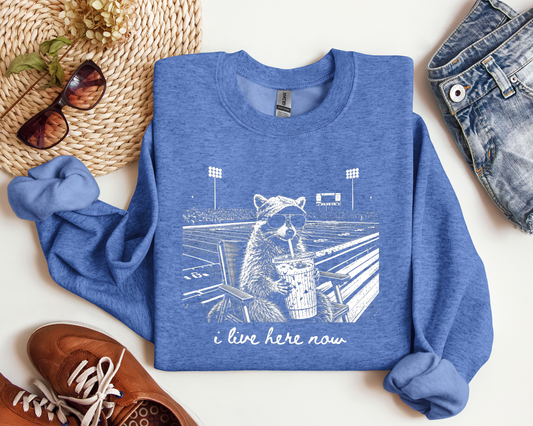 I LIVE HERE NOW FOOTBALL RACCOON CREW