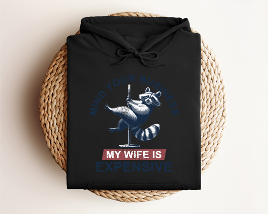 MY WIFE IS EXPENSIVE HOODIE