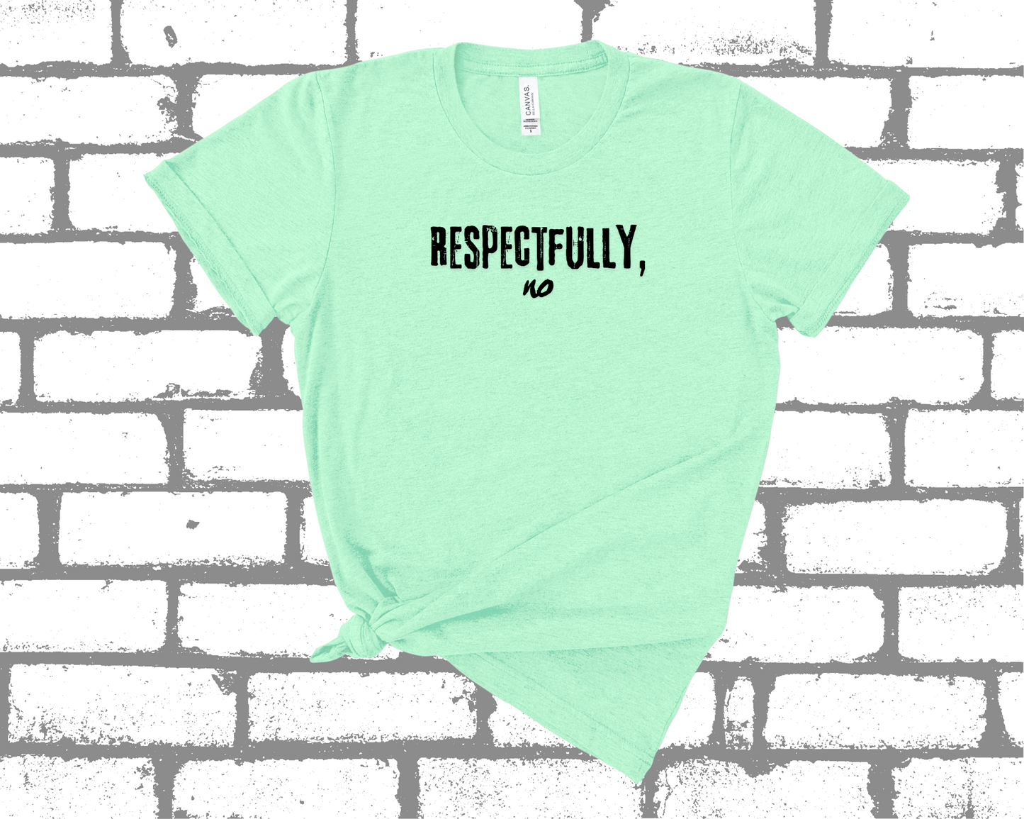 RESPECTFULLY NO SHIRT