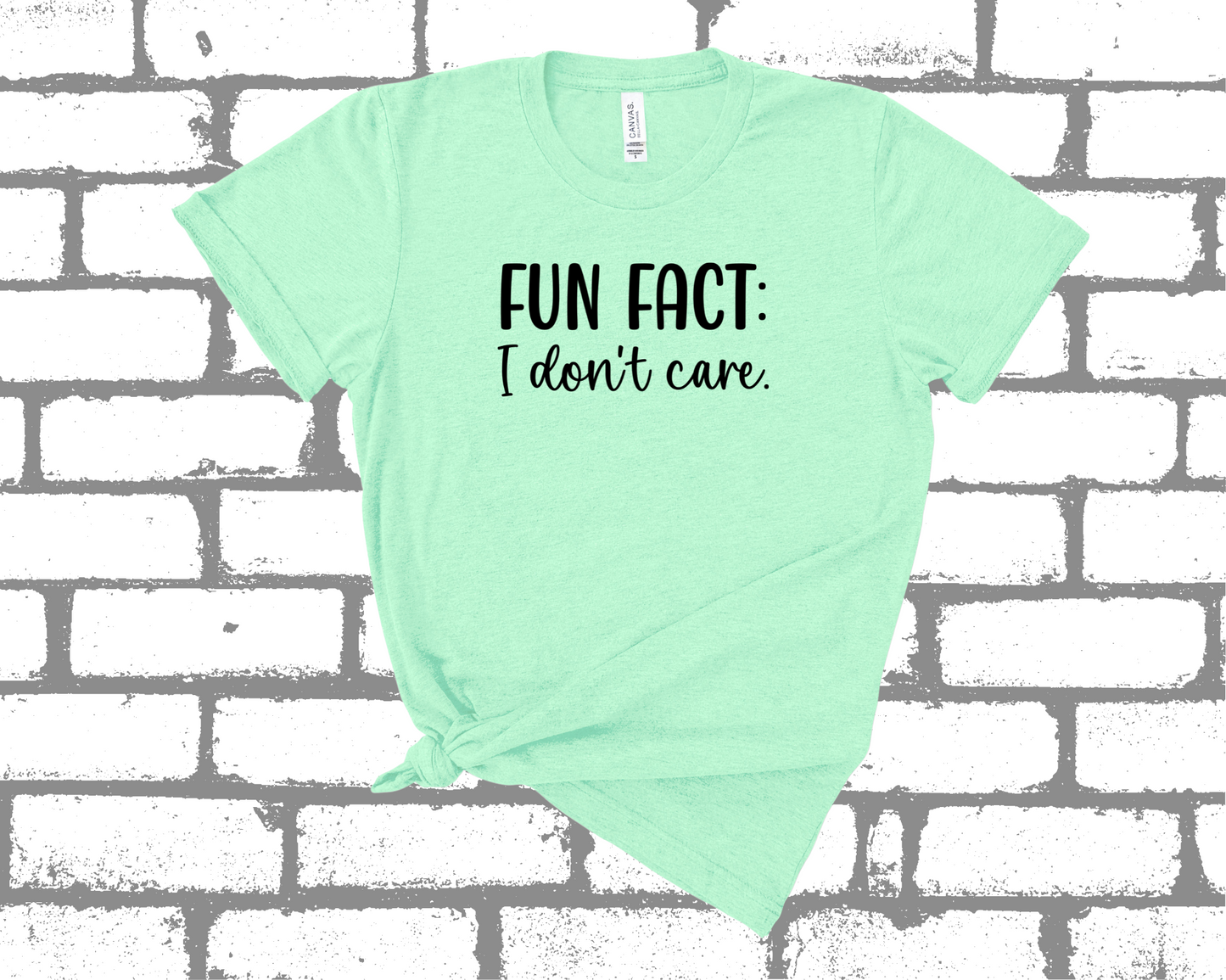 FUN FACT: I DON'T CARE SHIRT