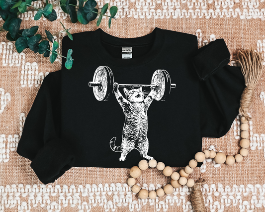 GYM CAT CREW